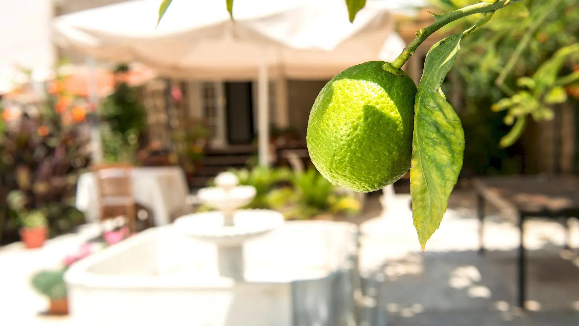 Alacati Kostem Hotel - Special Category